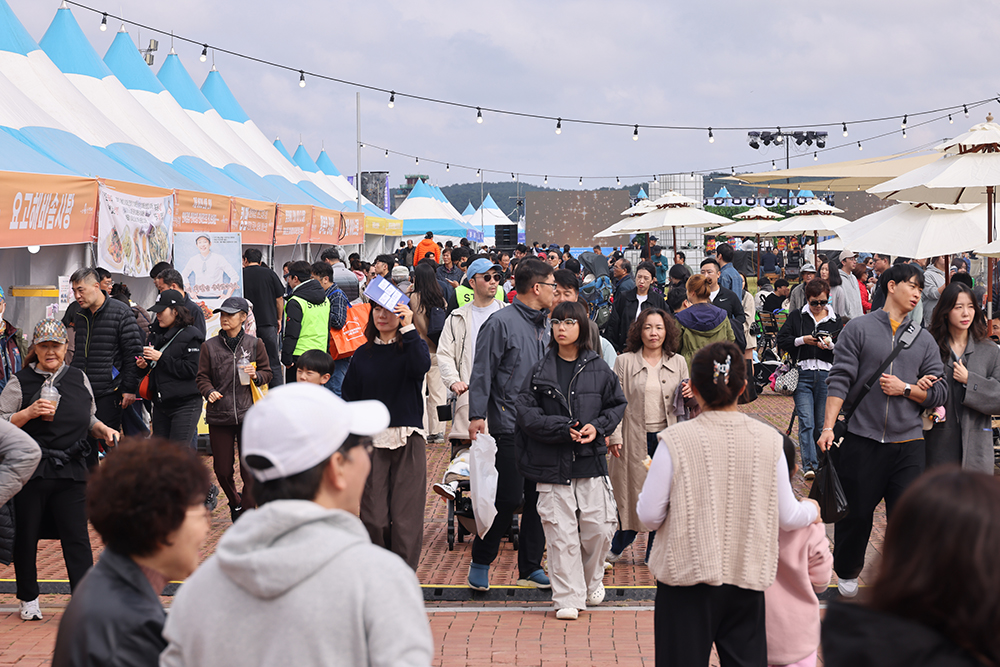 20251024-26 양양연어축제