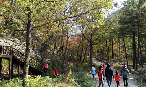 장애청소년 어성전숲속체험 및 에너지월드 Day Camp(10월18일)